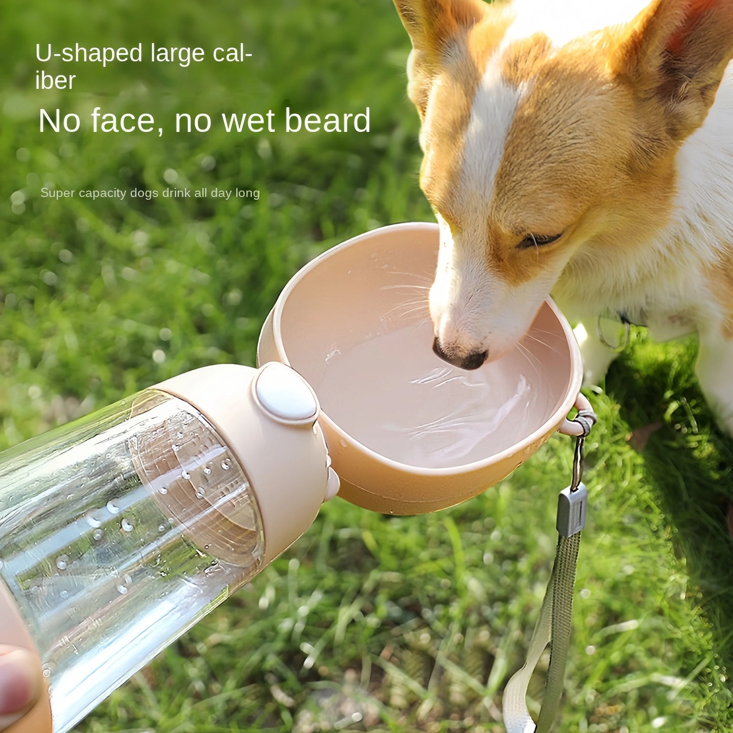 Portable Water & Food Bowl